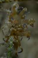 BHB-201208118485.jpg