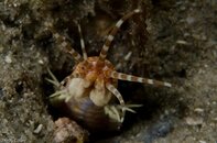 BHB-201208118495.jpg