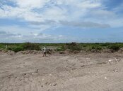 IMG_1036.JPG
