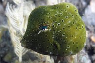IMG_0581wa.jpg