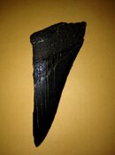 Iphone 016.jpg