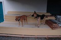 DSC_0018.jpg