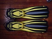 IMG_1222.jpg