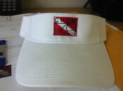 visor-s.jpg