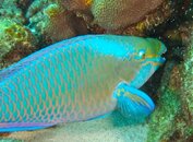 IMG_0445.jpg