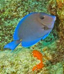 IMG_0954.jpg