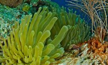 IMG_1019.jpg