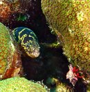 IMG_1194.jpg