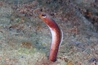 IMG_1510wa.jpg