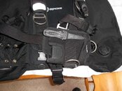 DSCN0300.jpg