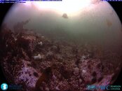 RaceRocksUnderwaterCameraLive_2012-08-22_181830.jpg