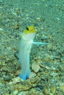IMG_2213.JPG