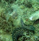 IMG_2200.jpg