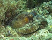 IMG_2183.jpg