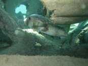 IMG_2172.jpg