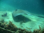 IMG_2165.jpg