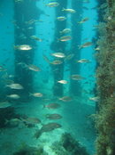 IMG_2163.JPG