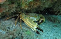IMG_2148.jpg