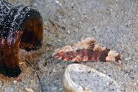IMG_3878wa.jpg
