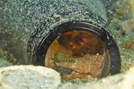 IMG_3879wb.jpg