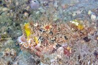 IMG_4128wa.jpg