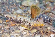 IMG_4143wa.jpg