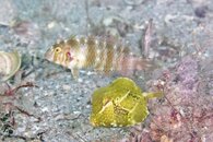 IMG_4219wa trips.jpg