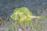 IMG_4633wa.jpg