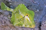 IMG_4649wa.jpg