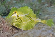 IMG_4672wa.jpg