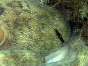 IMG_2251.jpg