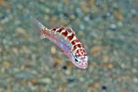 IMG_4804wa.jpg