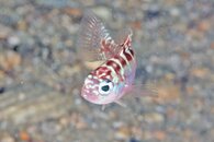IMG_4805wa.jpg