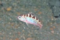 IMG_4806wa.jpg
