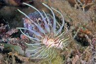 IMG_5027wa.jpg