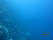 IMG_0062.jpg