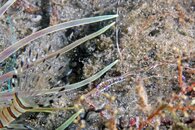 IMG_5176wa.jpg