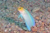 IMG_5612wa.jpg