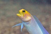 IMG_5604wa.jpg