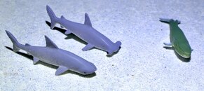 IMG_1612.jpeg