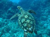 IMG_0611.jpg