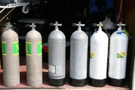 IMG1108-L.jpg