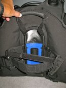 SeaquestDIVAlxMedBackView.jpg