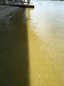 ImageUploadedByTapatalk1346545682.871167.jpg