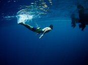 Fiji-10-L.jpg Fiji-10-L.jpg