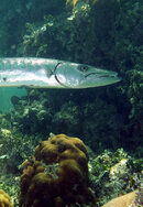 P1014914_4810_edited-1.jpg