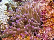 IMG_1064.jpg