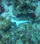 GOPR0696.jpg
