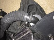 IMG_0127.jpg
