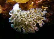 IMG_1135.jpg